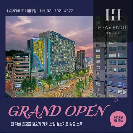 H Avenue Hotel Idae Shinchon-2